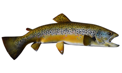 23-INCH BROWN TROUT