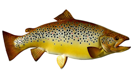25-INCH BROWN TROUT
