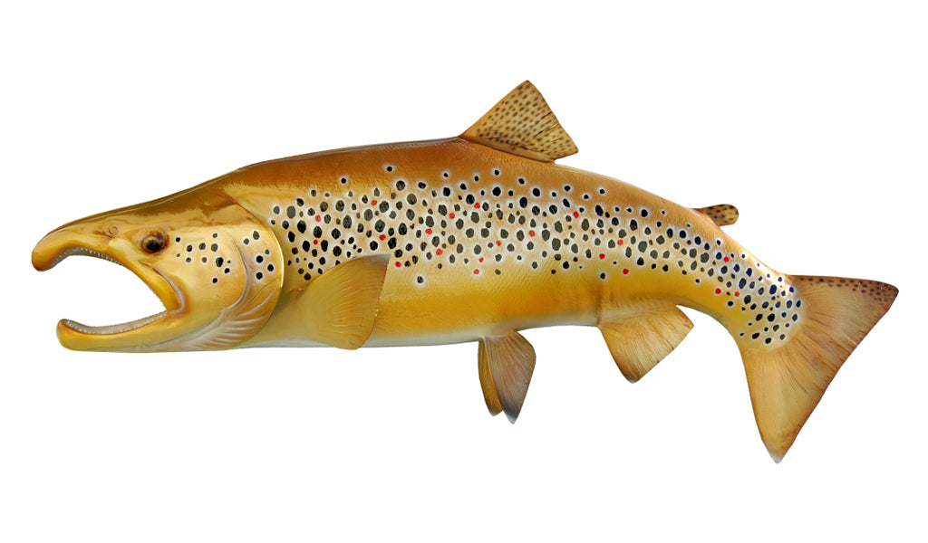WTT 316 6 inch trout floater (brown trout) - Black Market