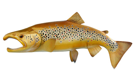 28-INCH BROWN TROUT (L)