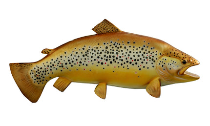 29-INCH BROWN TROUT