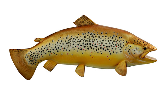 29-INCH BROWN TROUT