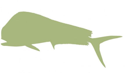 48-INCH BULL DOLPHIN BLANK, ECONOMICAL