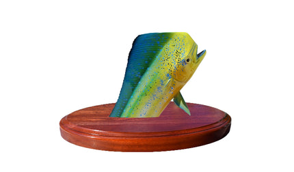 12-INCH BULL DOLPHIN TROPHY