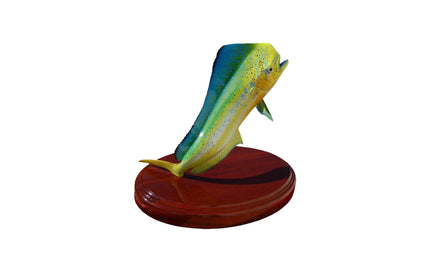 20-INCH BULL DOLPHIN TROPHY