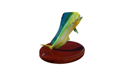 20-INCH BULL DOLPHIN TROPHY