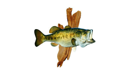 CEDAR DRIFTWOOD, MEDIUM