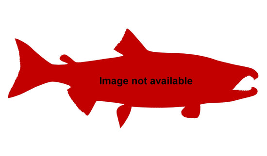 31-INCH CHUM SALMON