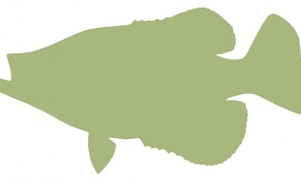 17-INCH CRAPPIE BLANK, ECONOMICAL