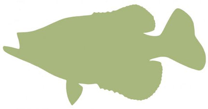 17-INCH CRAPPIE BLANK, ECONOMICAL