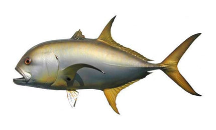 26-INCH CREVALLE JACK