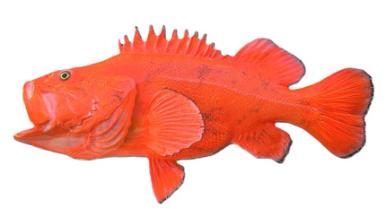 32-INCH ROCKFISH (YELLOWEYE)