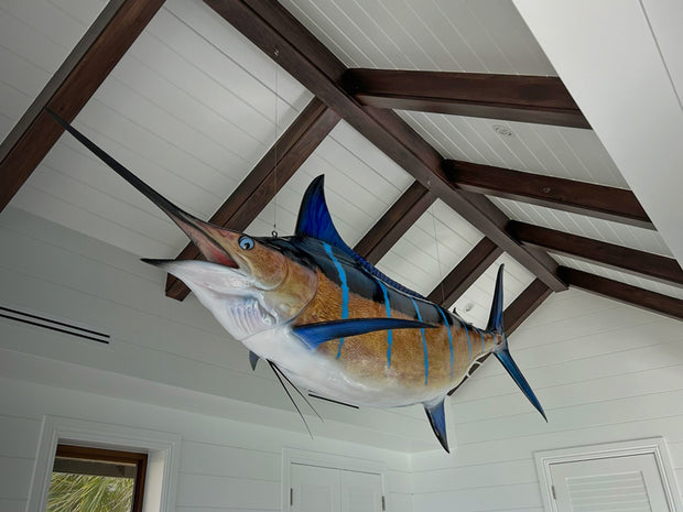 King Sailfish Mounts  Fish Mounts & Replicas