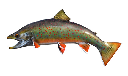 19-INCH DOLLY VARDEN CHAR