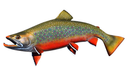 30-INCH DOLLY VARDEN CHAR