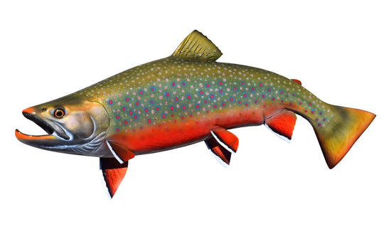 30-INCH DOLLY VARDEN CHAR