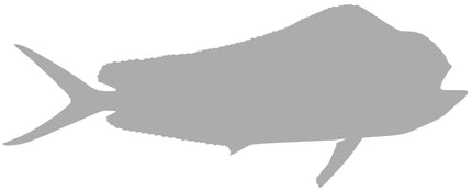 33-INCH BULL DOLPHIN BLANK, STANDARD