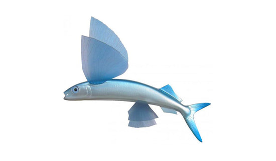 10-INCH FLYING FISH BAITFISH MOUNT (L)