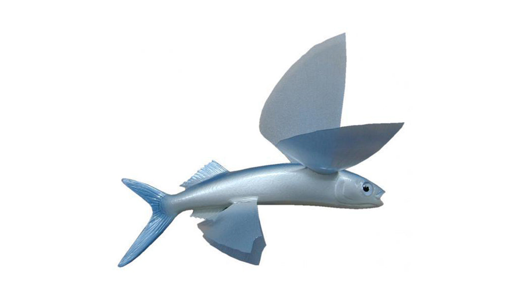 8-Inch Flying Fish Baitfish Mount (R) | King Sailfish Mounts
