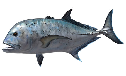 58-INCH GIANT TREVALLY