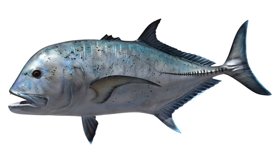 58-INCH GIANT TREVALLY