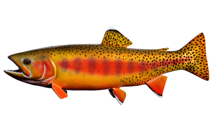 19-INCH GOLDEN TROUT