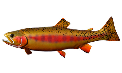 23-INCH GOLDEN TROUT