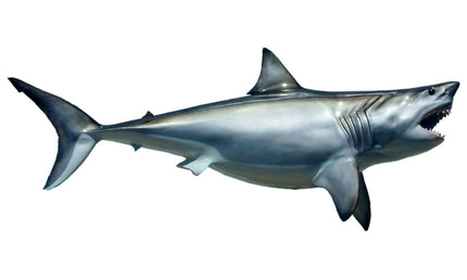 96-INCH GREAT WHITE SHARK