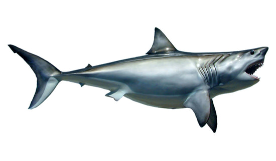 96-INCH GREAT WHITE SHARK