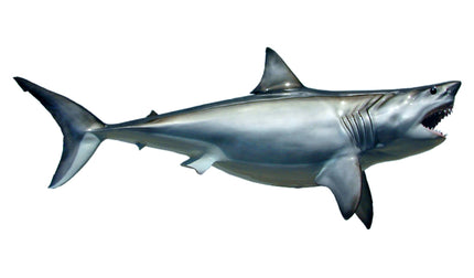 96-INCH GREAT WHITE SHARK