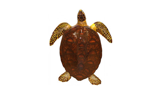 48-INCH GREEN TURTLE