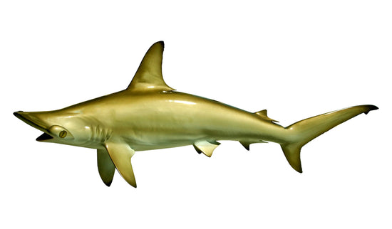 64-INCH HAMMERHEAD SHARK