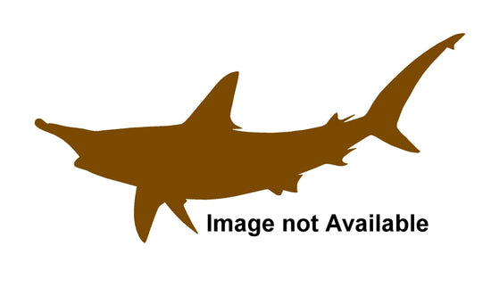 82-INCH HAMMERHEAD SHARK