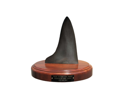 Collection image for: HARD LUCK TROPHIES