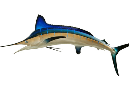Collection image for: MARLIN, HATCHET
