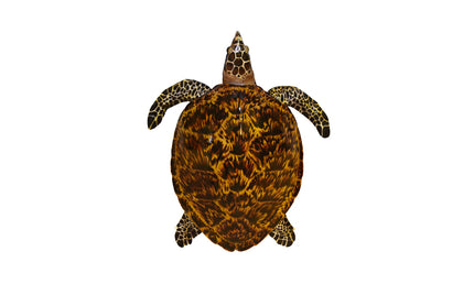 34-INCH HAWKSBILL TURTLE