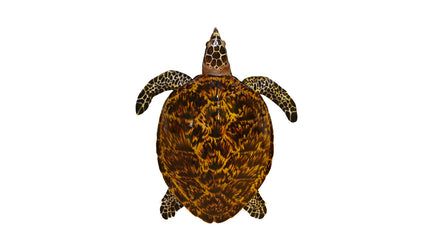 34-INCH HAWKSBILL TURTLE