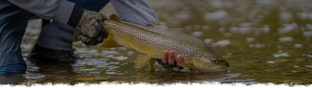 Freshwater Fish Mounts