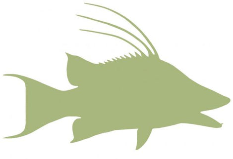 26-INCH HOG SNAPPER BLANK, ECONOMICAL