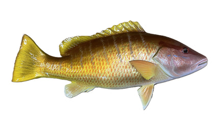 19-INCH AMARILLO SNAPPER (YELLOW)