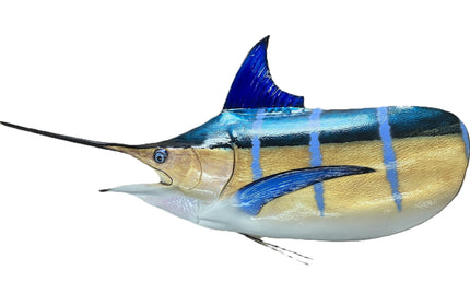 350-POUND MARLIN HEAD MOUNT (BLUE MARLIN)