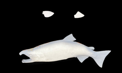 28-INCH KING SALMON BLANK, STANDARD