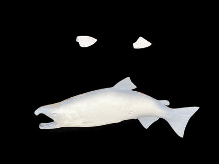 28-INCH KING SALMON BLANK, STANDARD