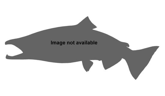 58-INCH KING SALMON (MALE)