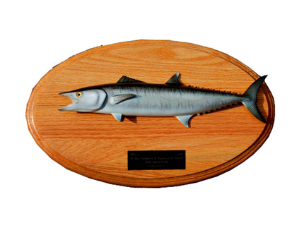 Collection image for: KINGFISH TROPHIES