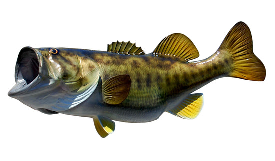 9-POUND LARGEMOUTH BASS