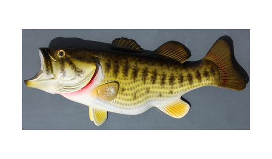 LARGEMOUTH BASS, MINIATURE