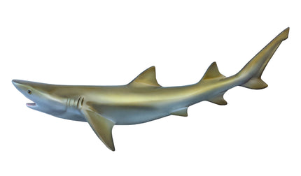 56-INCH LEMON SHARK