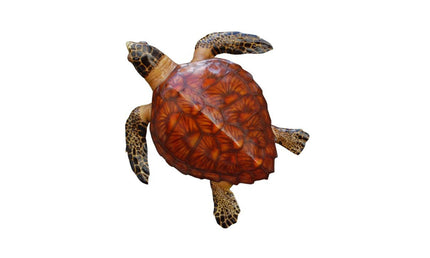 26-INCH LOGGERHEAD TURTLE