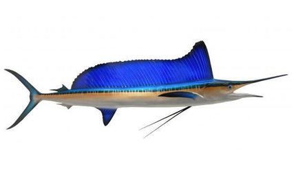 64-INCH LONGBILL SPEARFISH